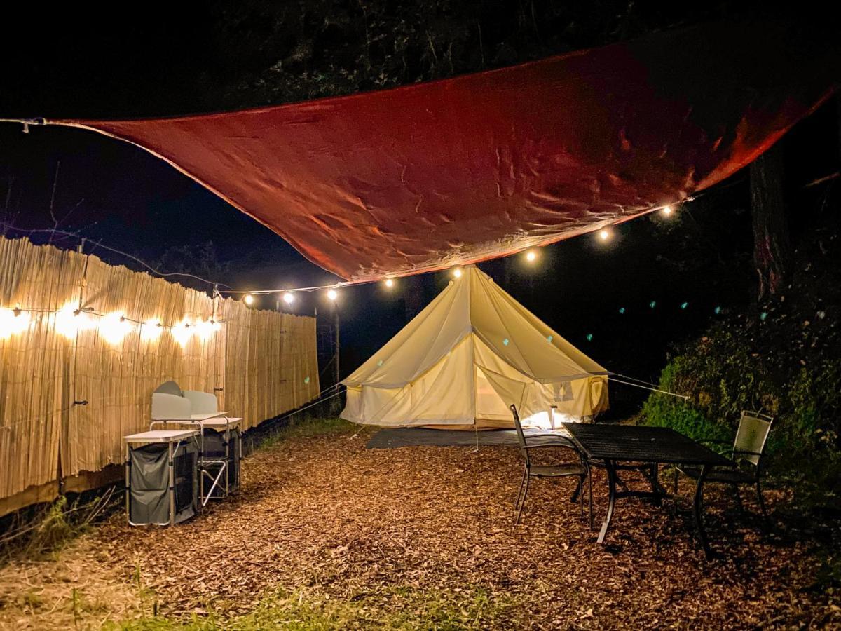 Glamping In The Redwoods With A Hot Tub! Hotel Garberville Buitenkant foto
