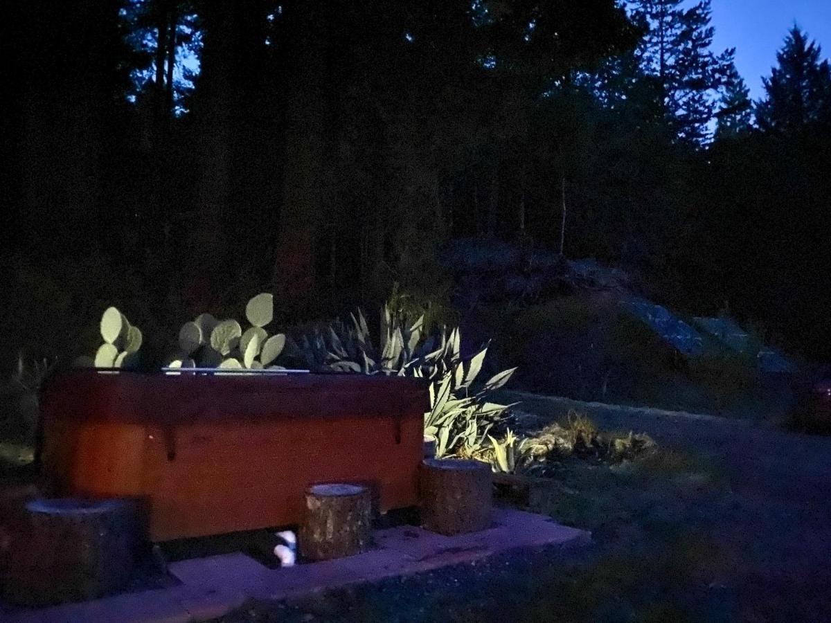 Glamping In The Redwoods With A Hot Tub! Hotel Garberville Buitenkant foto